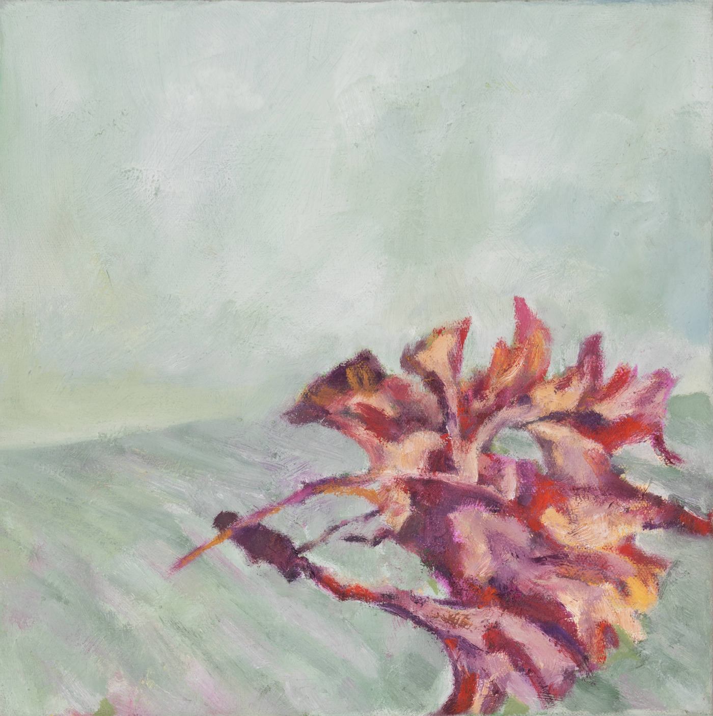 Amaryllis, 30x30 cm, 2017