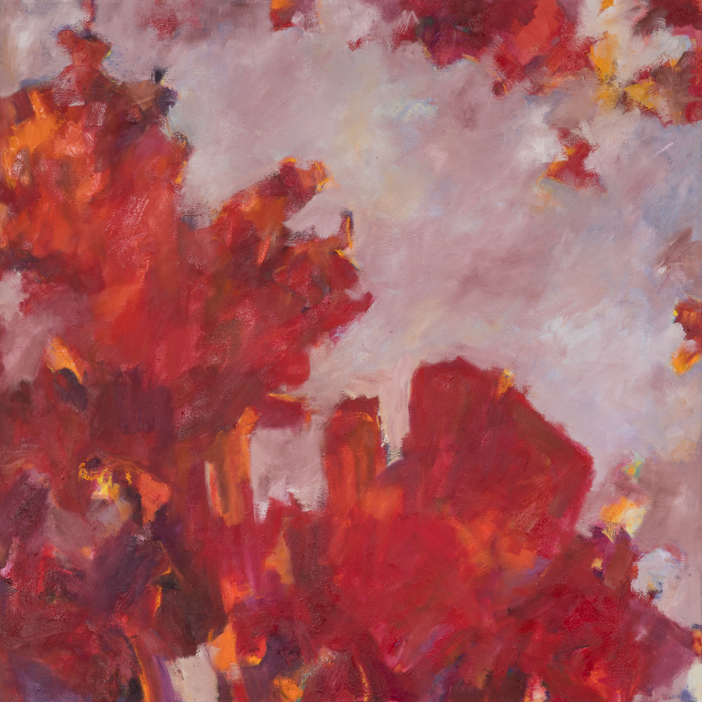 Amaryllistraum, 2018