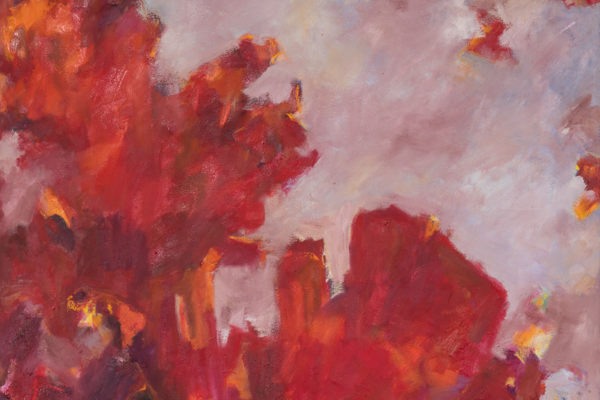 Amaryllistraum, 2018